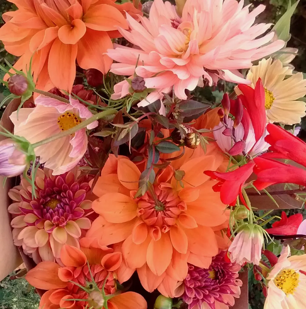 Celebrating September 2.webp
