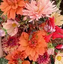 Celebrating September 2.webp