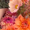 Celebrating September 3.webp
