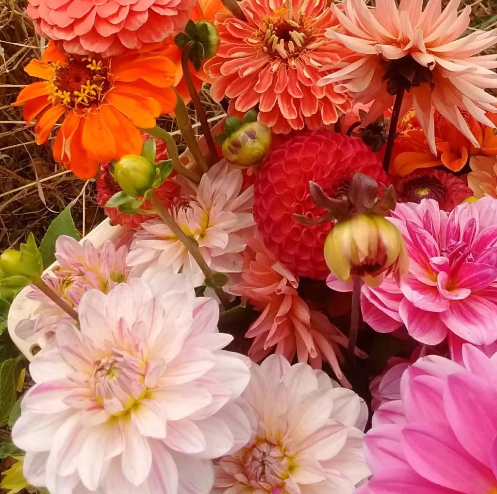 Beauty of Autumn 3.webp