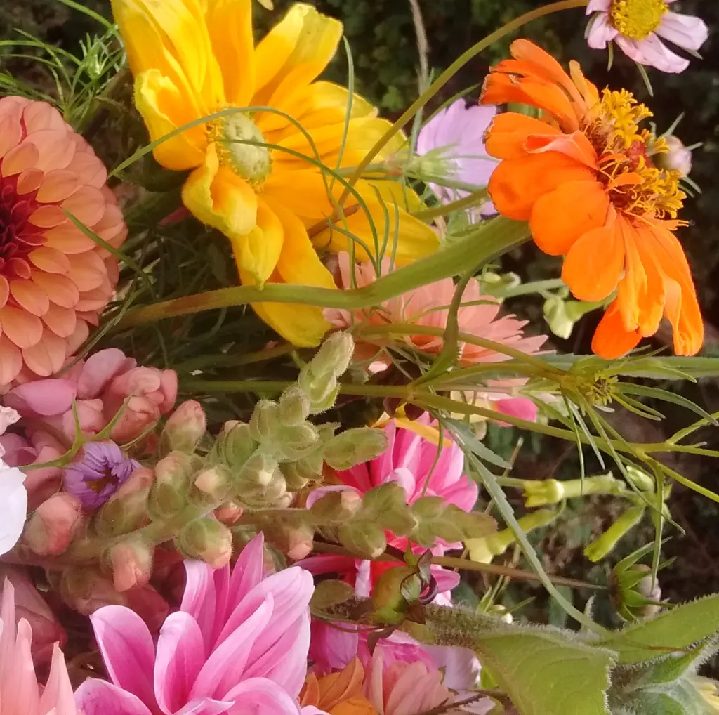 Beauty of Autumn 2.webp