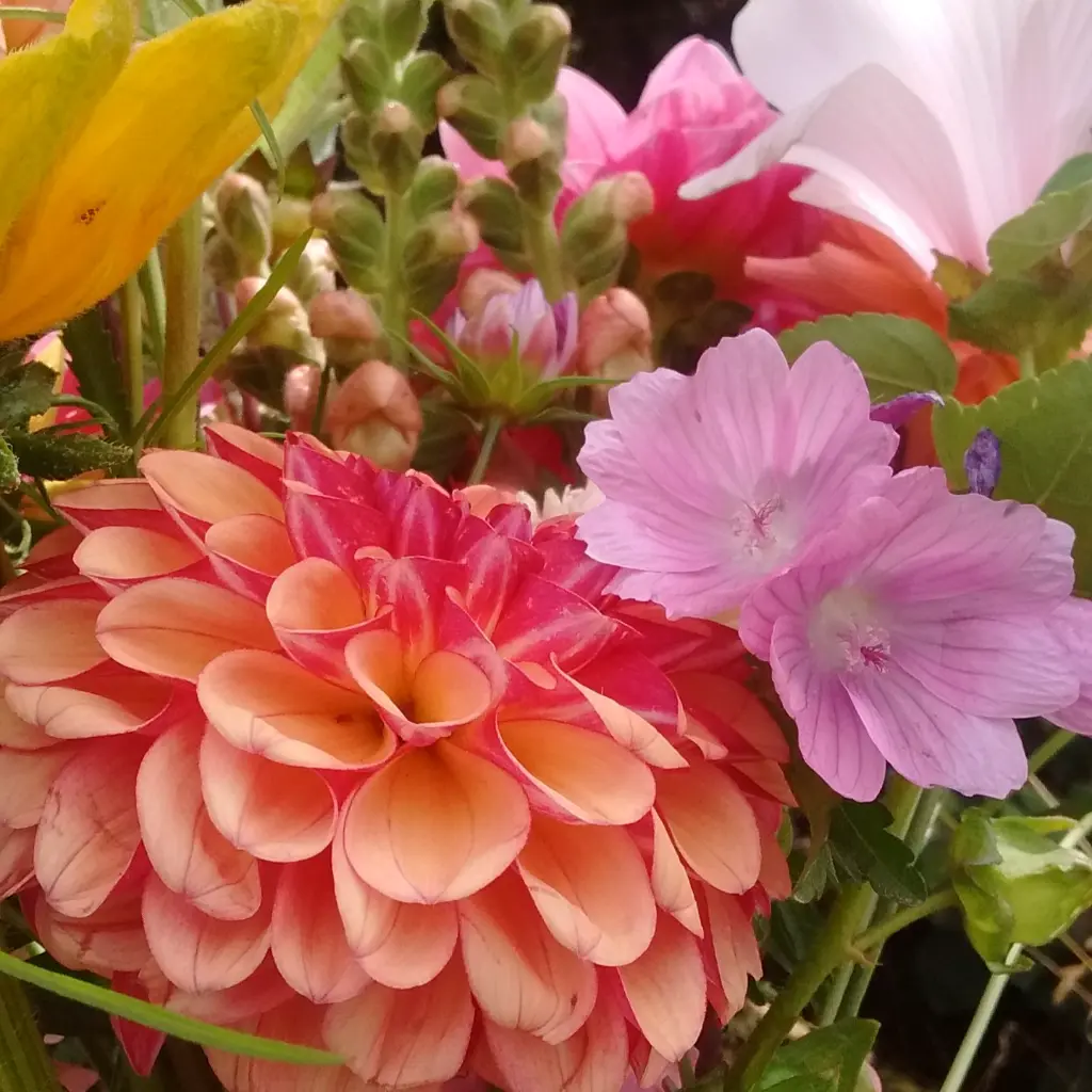 Beauty of Autumn 5.webp