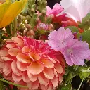 Beauty of Autumn 5.webp