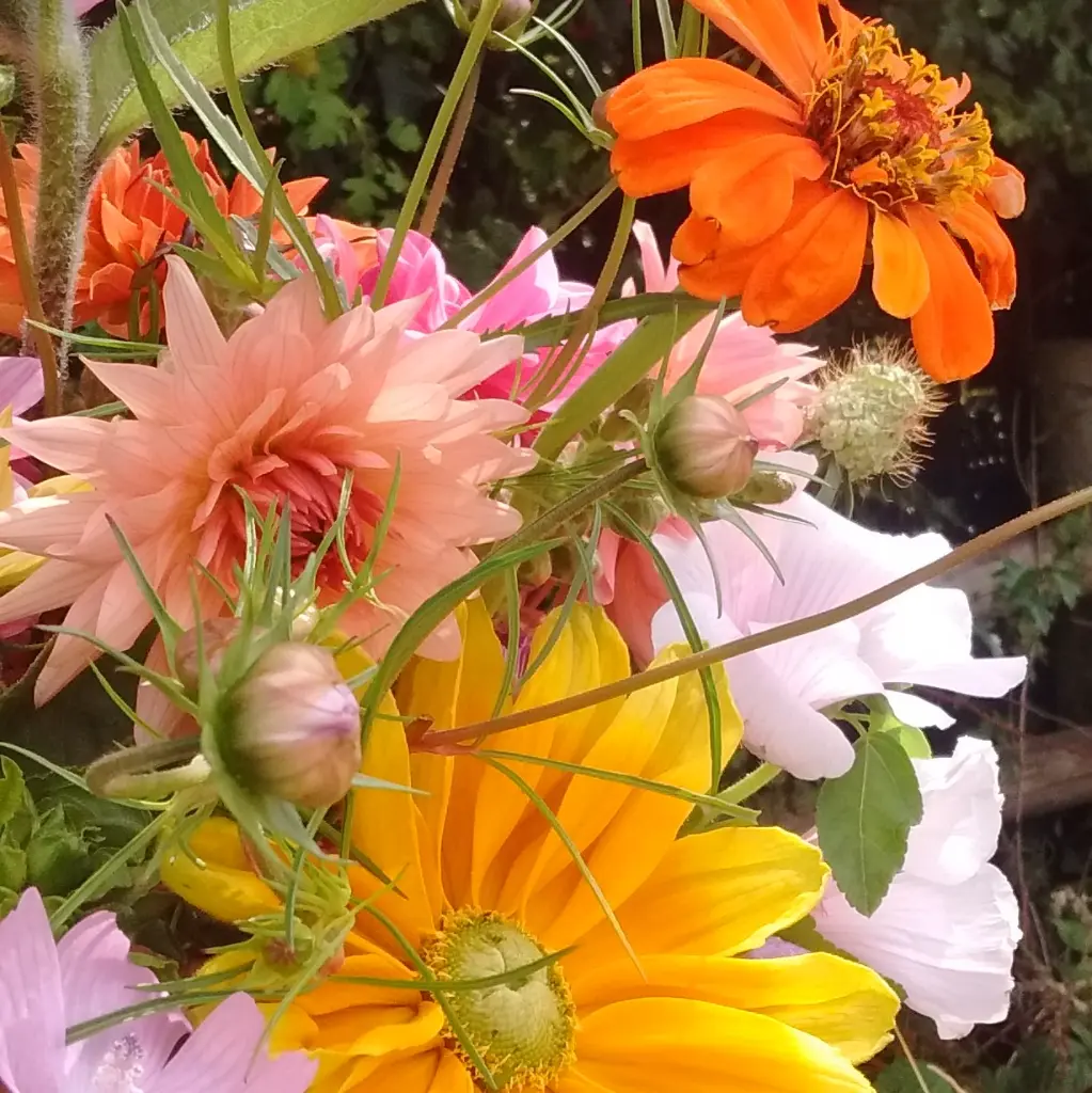 Beauty of Autumn 4.webp