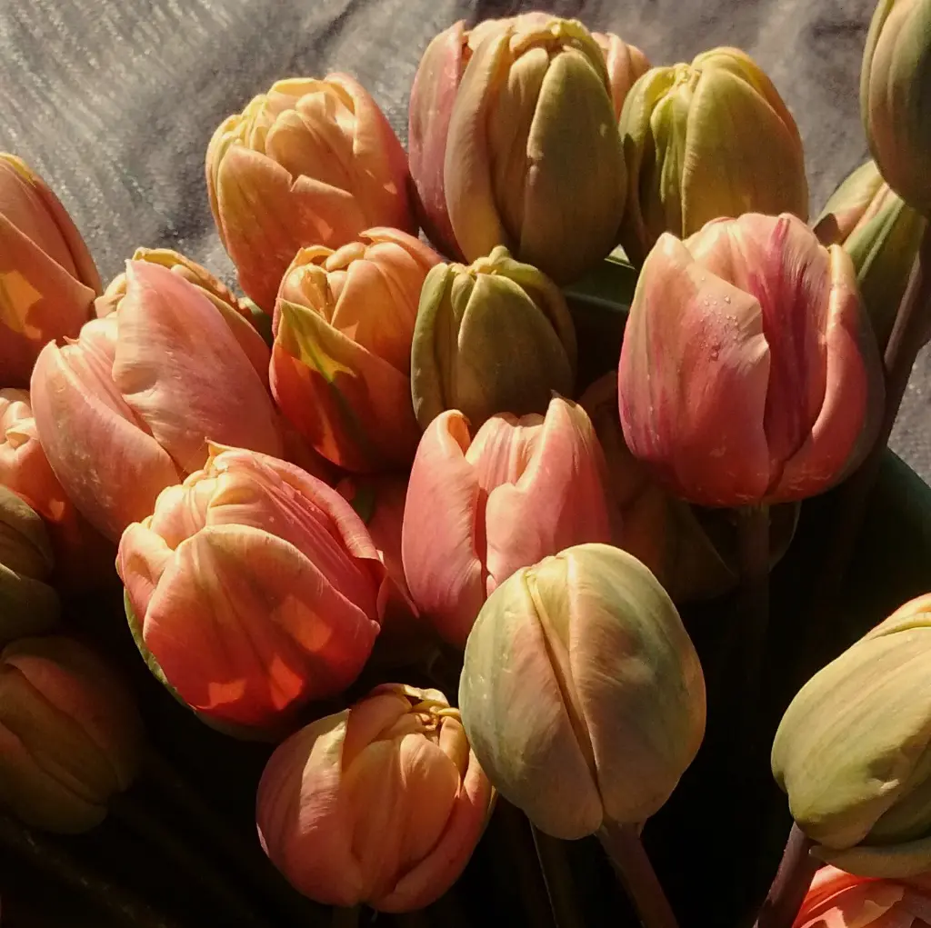 Peaches & Cream 3.webp