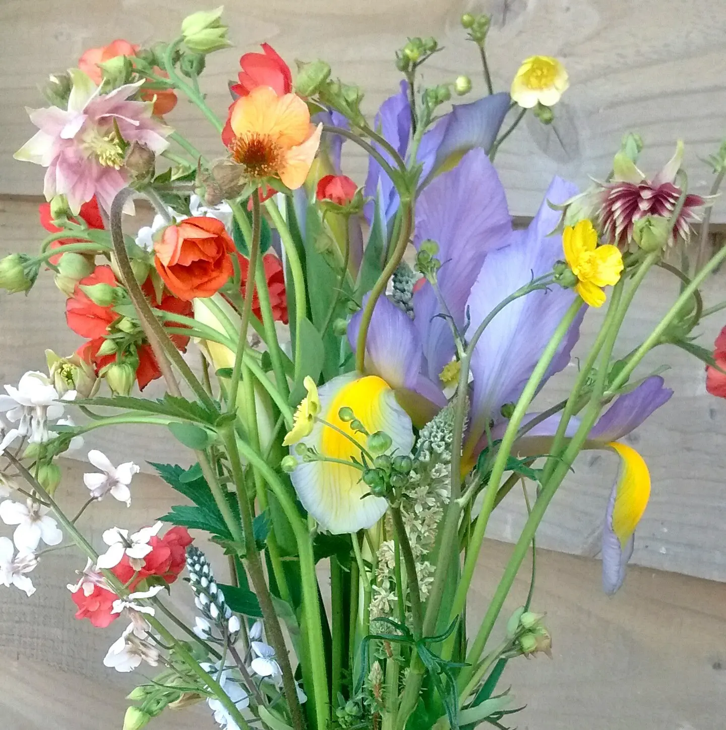 Early May Bouquet 5.webp