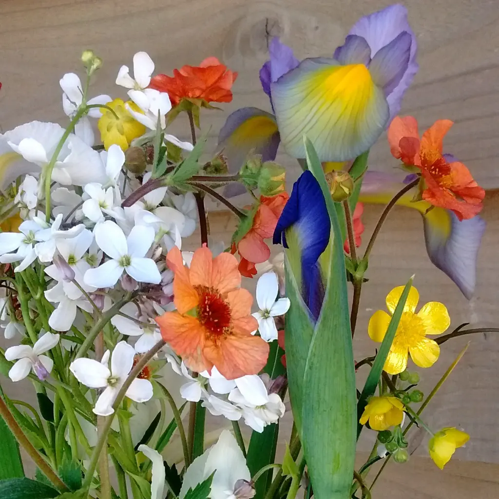 Early May Bouquet 6.webp