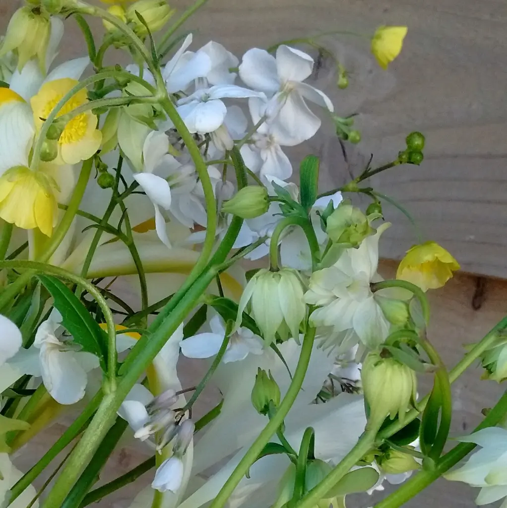 Early May Bouquet 7.webp