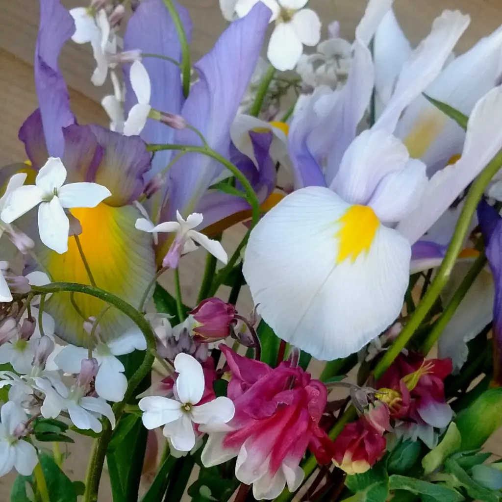 Early May Bouquet 3.webp