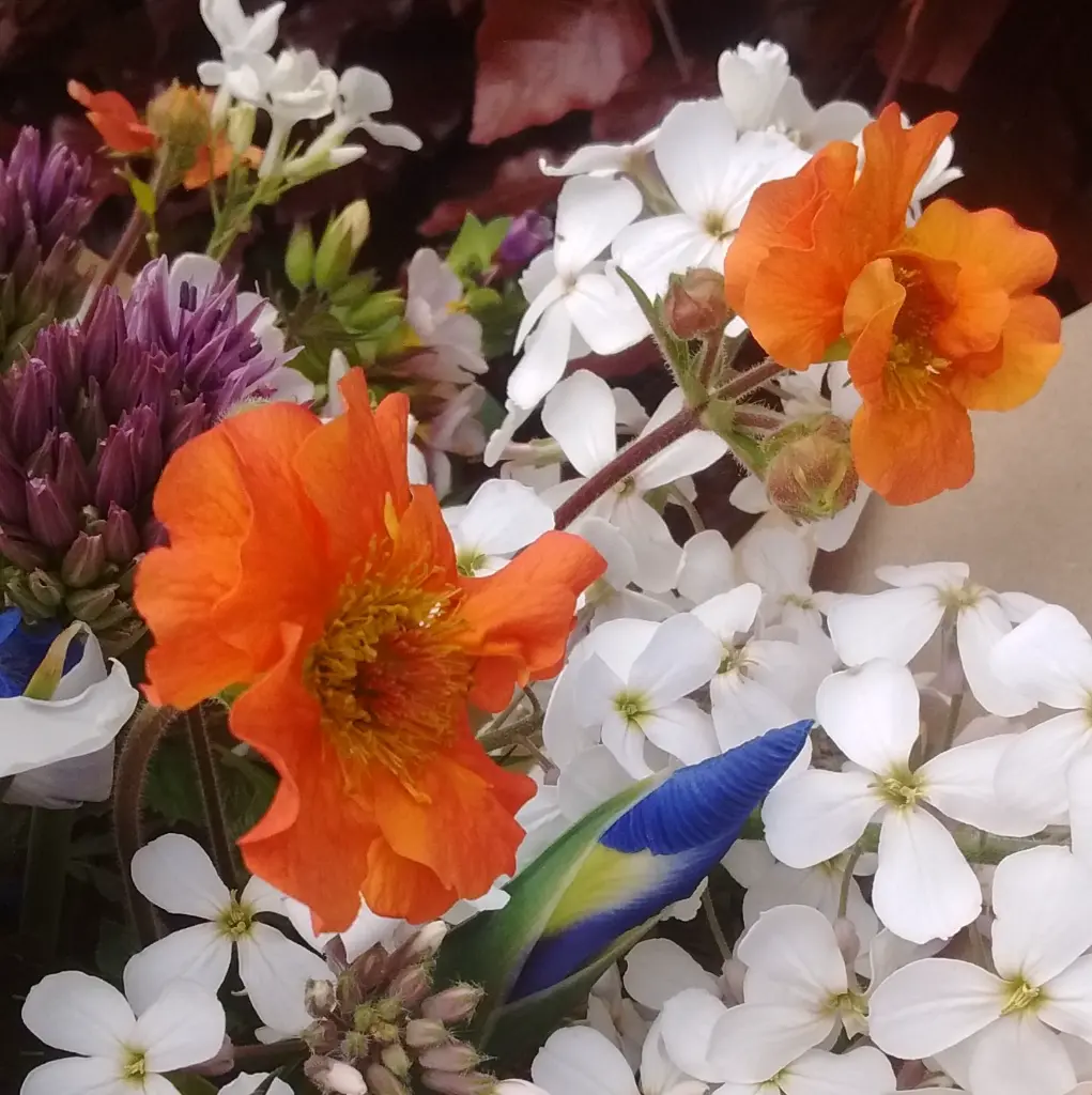 Early May Bouquet 2.webp