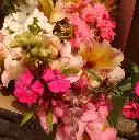 Mid June 4.webp