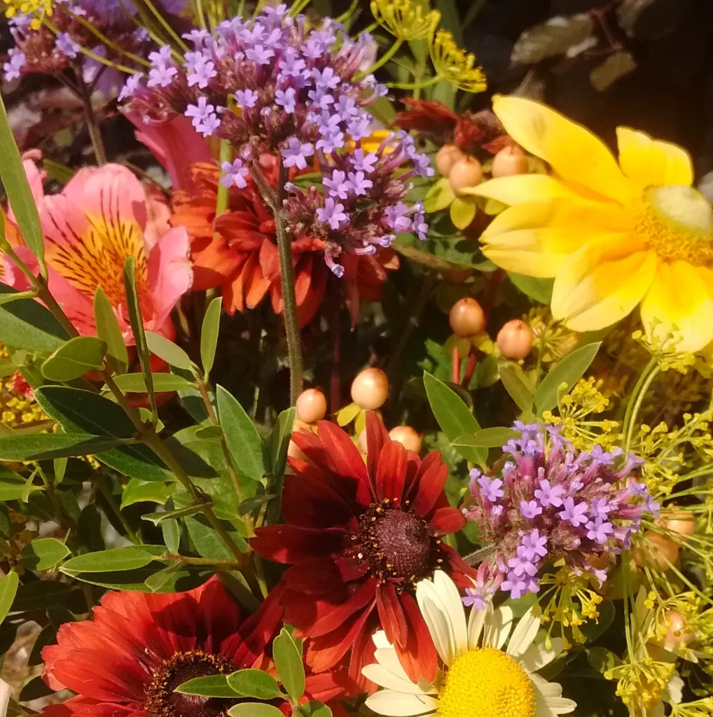 Mid July 2.webp