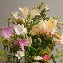 Alstros mixed Bouquet 9.webp