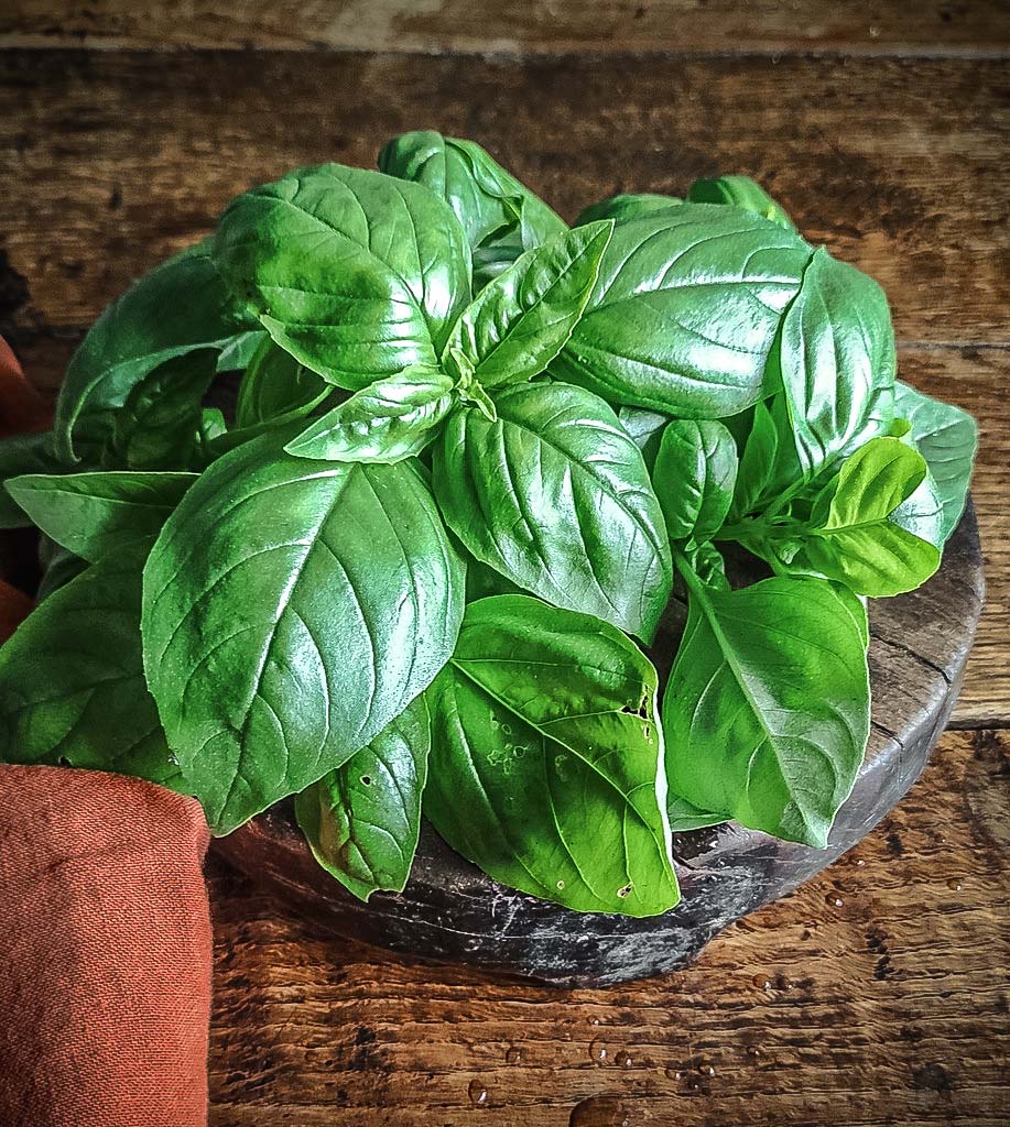 Basil Pack