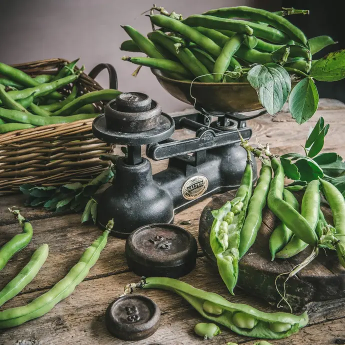 Beans - Broad whole  Pack