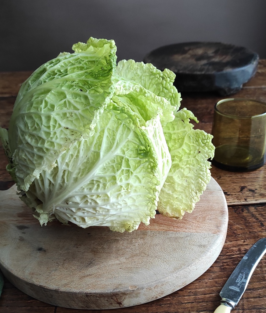 Cabbage - Savoy head