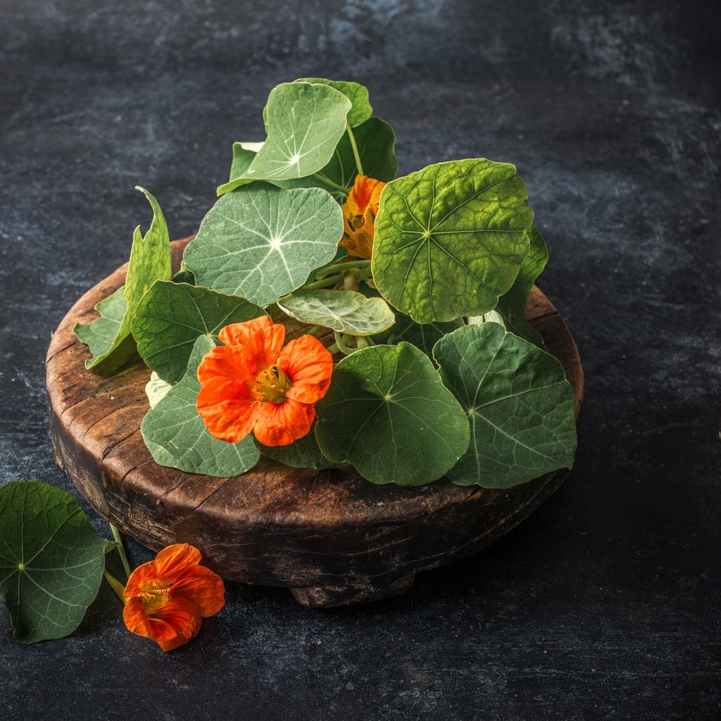 Salad- Nasturtium leaves and flowers Pack