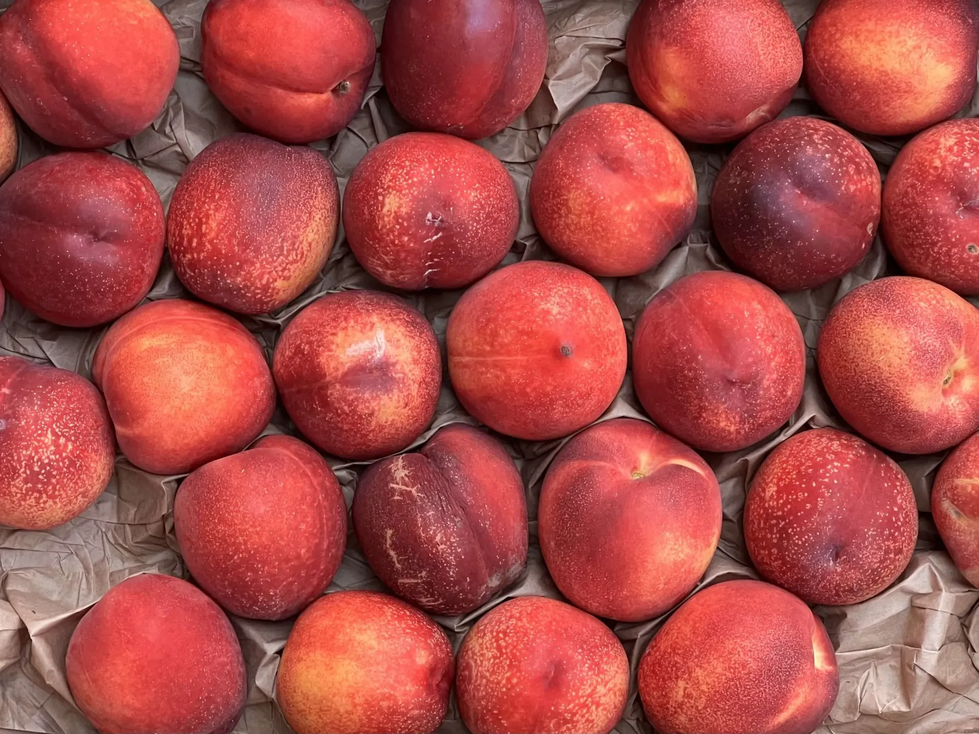 Nectarines 2 pack