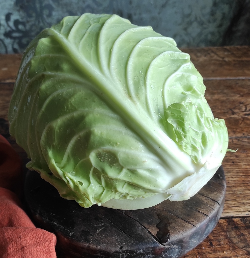 Pak Choi - White - head