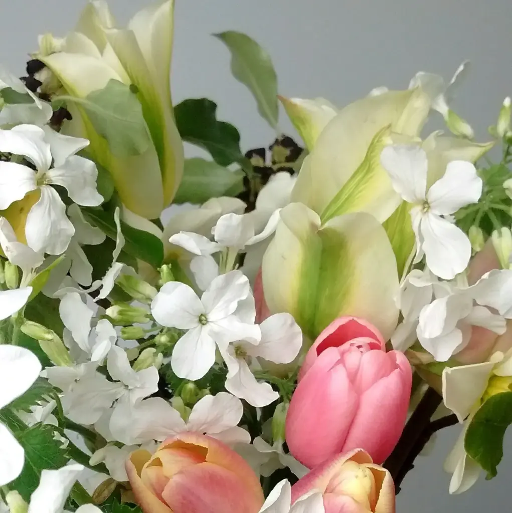 Mixed tulip bouquet
