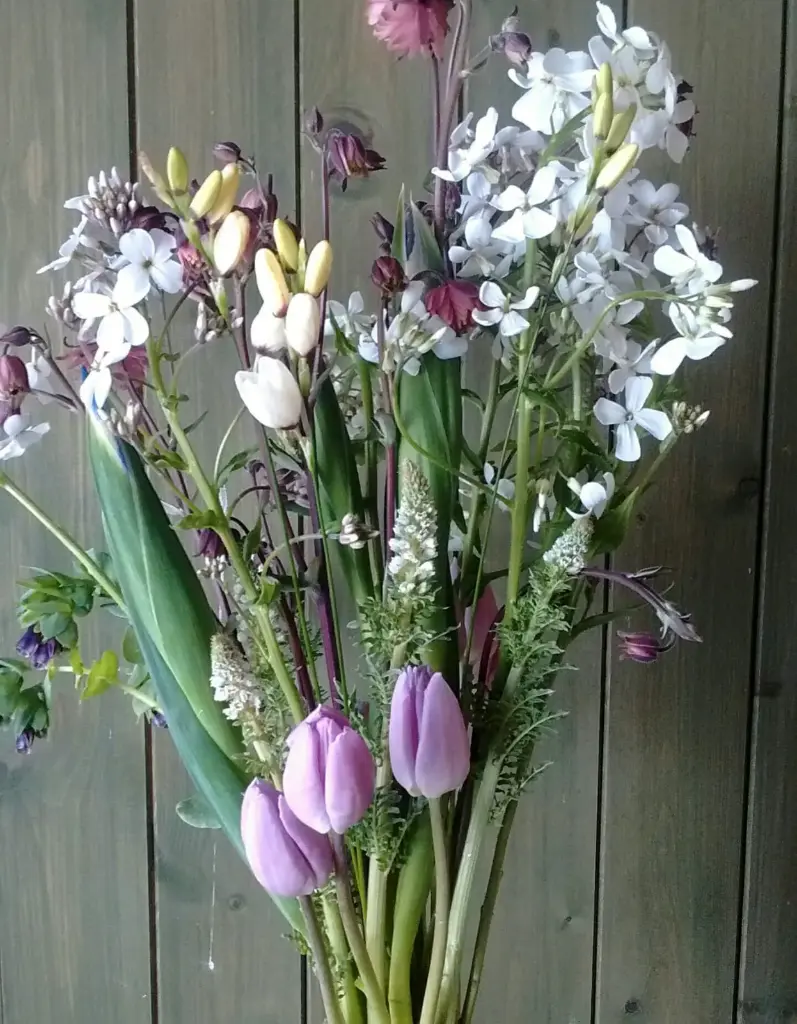 Fresh seasonal flowers - Dutch Irises & Tulips 
