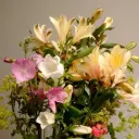 Alstroemeria Mixed Bouquet