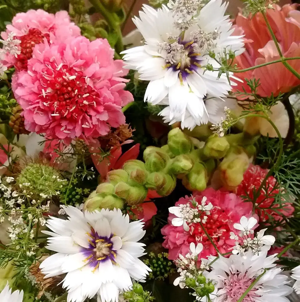 Peach Melba Bouquet