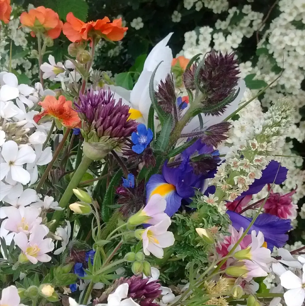Fresh seasonal bouquet