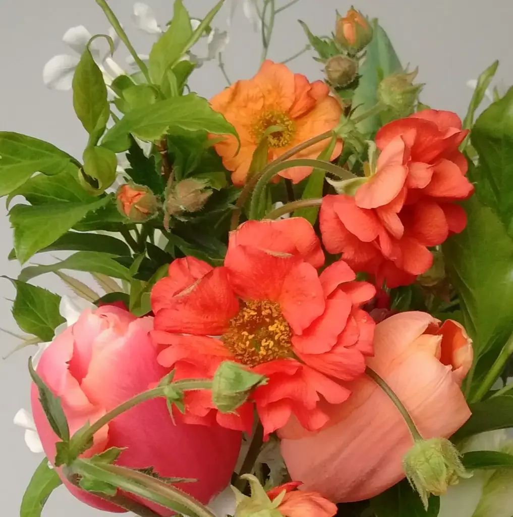 Peaches & Cream Tulip Bouquet