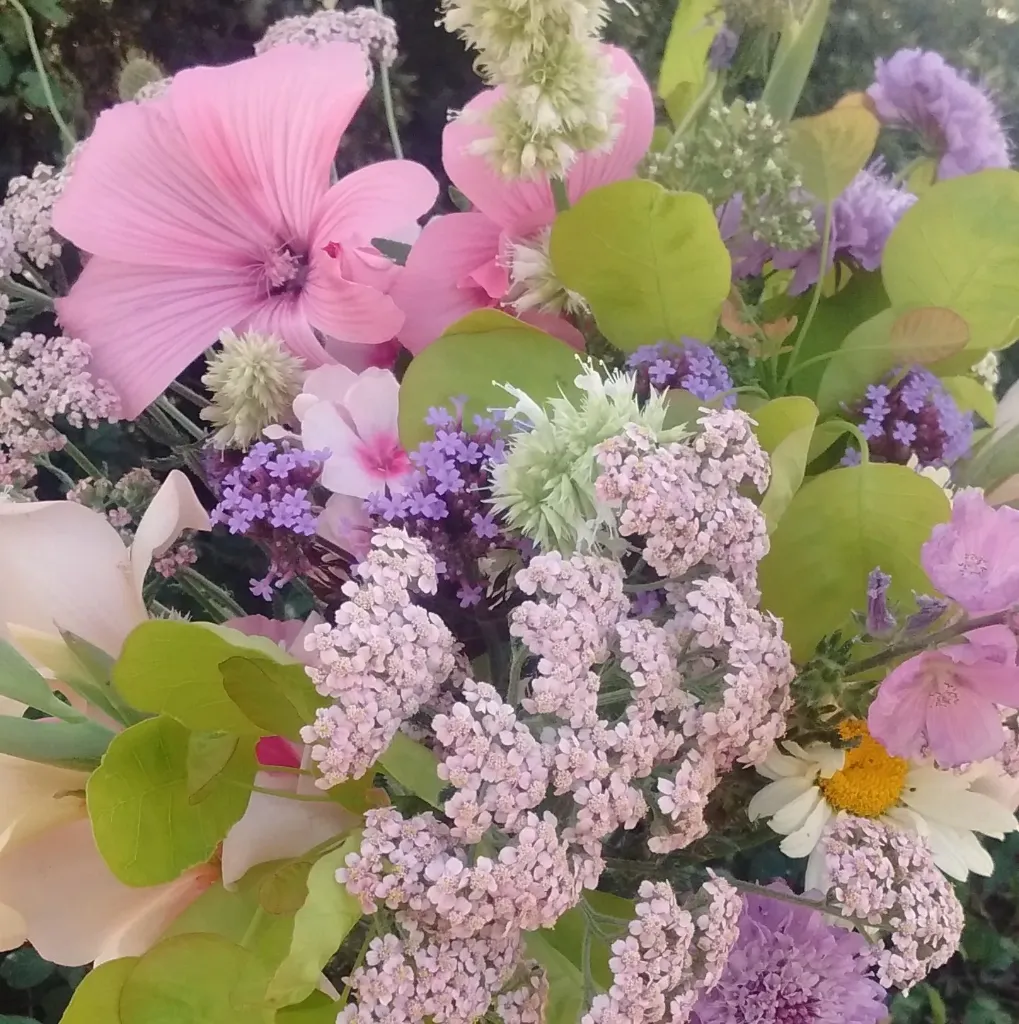Fresh seasonal bouquet