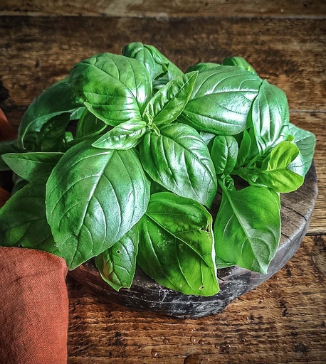 Basil Pack
