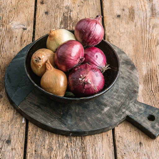 Onions - Mixed (Pack)
