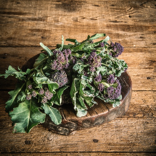 Purple Sprouting Broccoli - Pack