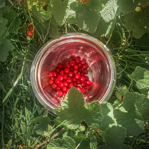 Redcurrants Pack 150g