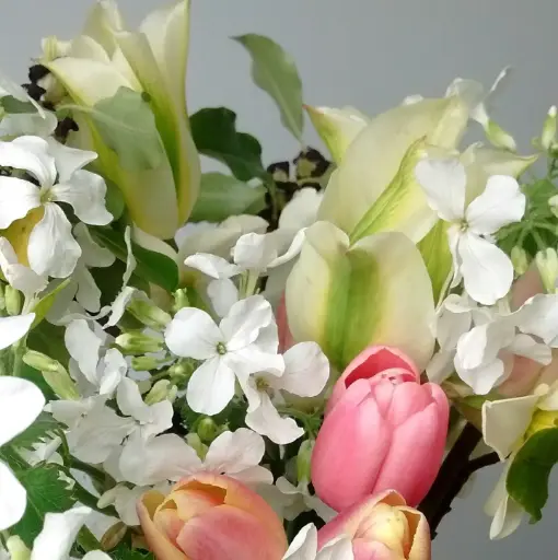Mixed tulip bouquet